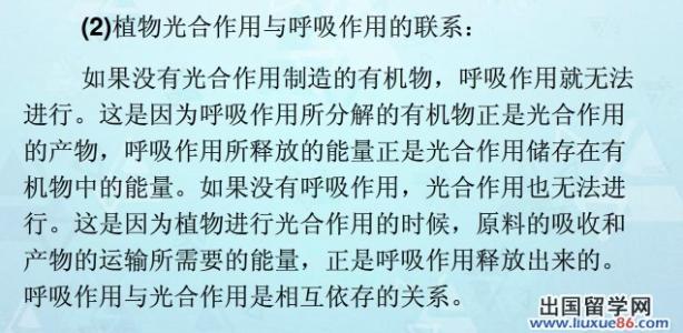 如何写出满分作文 英语提分：要想写出英语满分作文！一定要善用提纲。