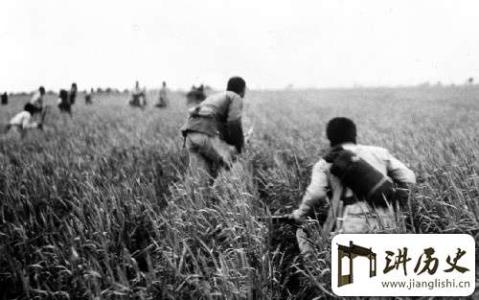 外国人怎么评价敌后游击战？美军观察员零距离学习