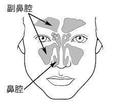 鼻腔癌和鼻咽癌的区别 鼻腔癌比鼻咽癌难治吗？