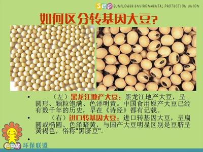 怎样鉴别转基因食品 为了子孙要学会鉴别《转基因食品》