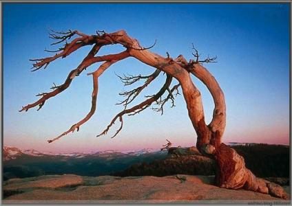 膀胱癌早期能否治愈 顿悟能否早一点