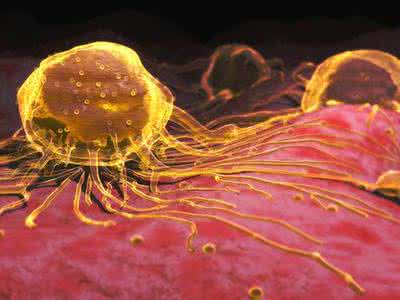 治国理政新思路 (22)治癌新思路