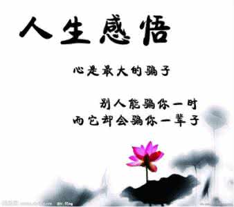 人生感悟经典名言 人生感悟经典名言语录