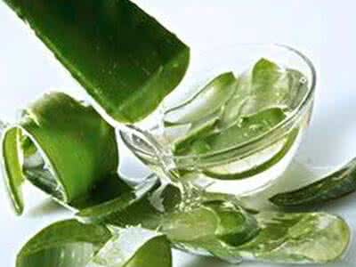 芦荟茶的功效与禁忌 芦荟茶的功效与禁忌 【芦荟的功效与作用及禁忌】芦荟的作用有哪些