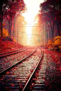 怕什么路途遥远 怕什么路途遥遥，幸福在路上