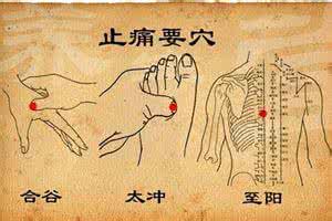 猪咳喘特效药 咳喘、頸椎、止痛、感冒的特效穴