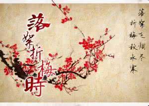 天下何人不通共出处 天下苍苍,何人陪我共看落花