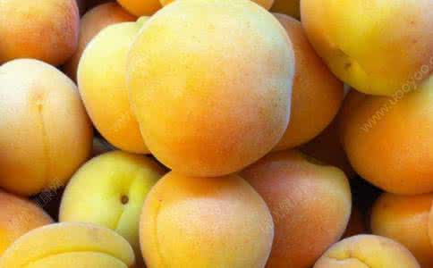 杏子核能吃吗 杏子的核能吃吗？