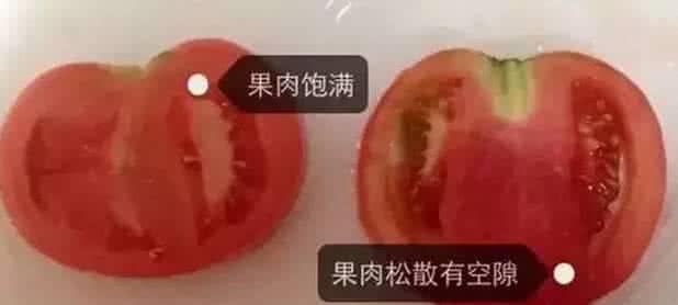 番茄成长过程 警惕!看到长这样的番茄,千万别买!有毒!