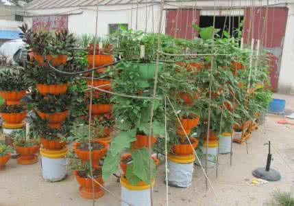 自制正馈立柱底座 26号作品:自制立柱式种植架规划制作班我爱菜园网