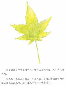 一片叶子落下来 一片叶子落下来 钩一片叶子