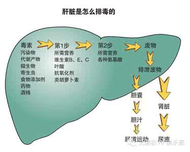 百病从肝治 百病从肝治 文档 (2)