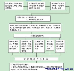 应急预案 应急预案 应急预案-1