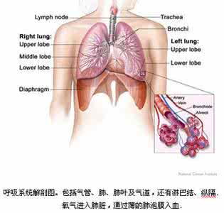 肺癌早期症状 肺癌早期症状 肺癌应如何治疗