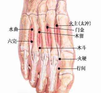董氏奇穴针灸学习-4足背