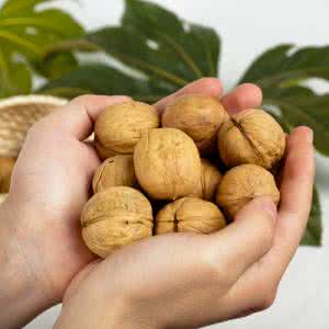 核桃止咳吗 核桃止咳吗 核桃能止咳吗?