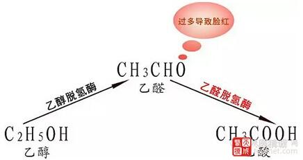 酒精的作用 酒精的作用有哪些