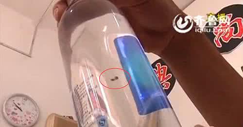 饮料开封后可保存几天 未开封饮料里惊现“虫子” 经销商称是荷叶棒