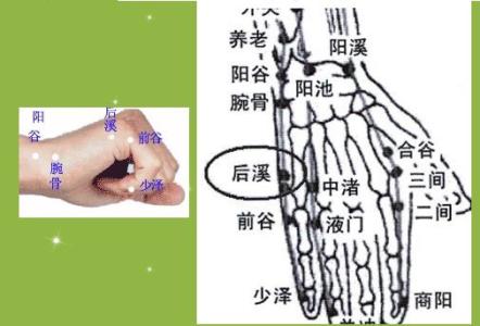 腰椎颈椎 后溪穴——治疗颈椎腰椎的常用穴