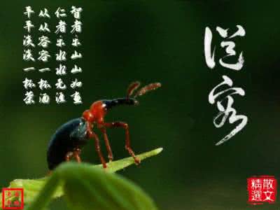 人生不易 且行且珍惜 从容面对人生，珍惜每时每刻