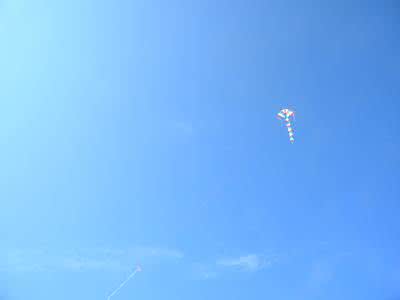 苏州家庭教育家长读本 铂程斋--家庭教育自助基础读本