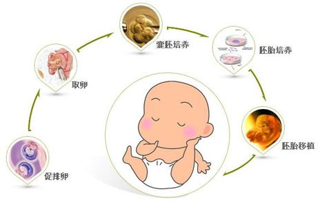 刚受孕成功的症状 受孕成功后有什么症状 要想受孕成功需要注意什么