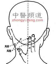 降血脂特效药 按摩降脂 人体有7个降血脂的特效穴位(图)