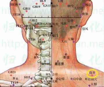 足少阳胆经 足少阳胆经之上关 | 穴位常识