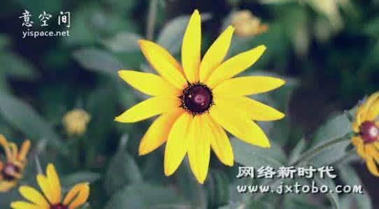 成败得失不用放在心头 得失心中放??心态要正常
