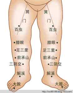 人体主要穴位动态演示