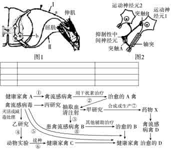 【同步摸底精炼+学海导航】2015届高三政治一轮复习：必修1+第四单元　发展社会主义市场经济（含详解） (1)