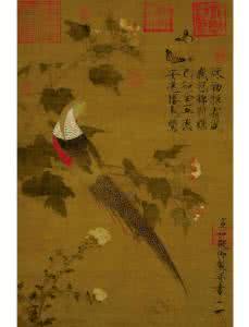 芙蓉锦鸡图 芙蓉锦鸡图 锦鸡步骤图 （课堂记录）