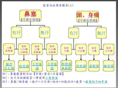 中医诊断学图表解 按图表自诊 可治愈各种类型感冒 中医感冒秘方集