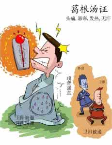 葛根汤 图文:心绞痛单方显神通葛根汤