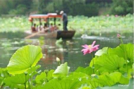 调出通透清晰风光大片 后期简单处理让照片更清晰通透