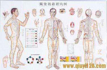 中医针灸图片 中医针灸常用81穴位图