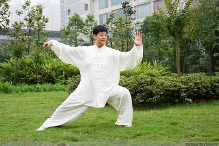 杨式太极拳85式视频 杨式太极(视频)