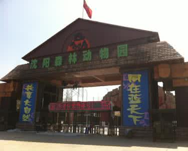 沈阳森林野生动物园 沈阳森林野生动物园 【沈阳动物园】沈阳动物园介绍