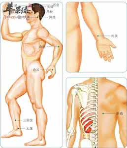 老中医百病特效 特效穴位按摩祛百病 腹部按摩，祛百病