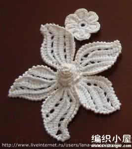 立体心形钩针视频教程 钩针教程:漂亮的半立体方心五叶花