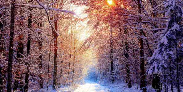 降央卓玛歌曲精选20首 下雪歌曲精选24首【FLASH 绝品音画】