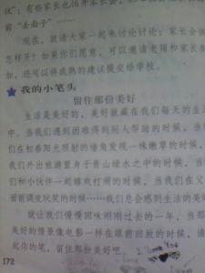 可爱的小狗作文200字 可爱的夏天作文400字