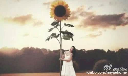 最舍不得点是关 人最脆弱的地方是舍不得