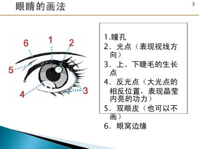 眼睛鼻子嘴巴耳朵儿歌 眼睛鼻子嘴巴耳朵儿歌 嘴巴代替鼻子 病菌替代健康