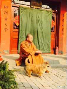 唐唐的烦恼生活 别让生活输给了烦恼