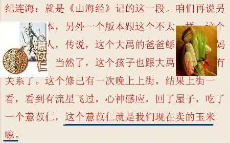 薏苡仁怎么吃 您吃的不是薏苡仁,是一段2000年的历史