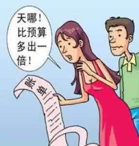 史上最详细的装修日记 如何控制装修预算