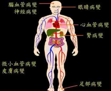 五脏六腑抹蜜糖 糖尿病的真相：不是血糖高，而是五脏六腑没糖！(转)