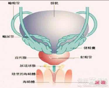 泌尿系统感染症状治疗 泌尿系统感染的症状 及时治疗泌尿系统感染