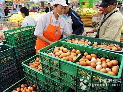 猪肉鸡蛋价格大跌 批发市场猪肉鸡蛋价格小幅下跌